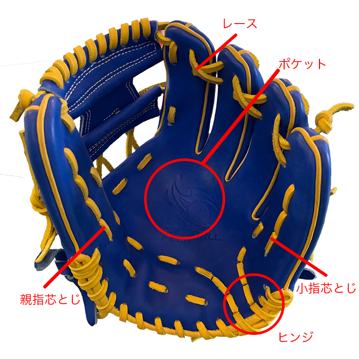 意外と知られていない野球グローブの部位名称 - BASEBALL FEED U15野球 