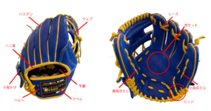意外と知られていない野球グローブの部位名称