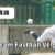 FTv（Two Seam Fastball Velocity）｜ツーシームの平均球速とは？