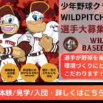 WILDPITCH U-15 メンバー募集
