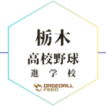 栃木 野球進学校 人気ランキング＆学科別偏差値徹底ガイド